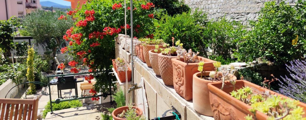 Apartment Alena With Terrace And Garden Center Jelsa Jelsa (Hvar) Exterior foto