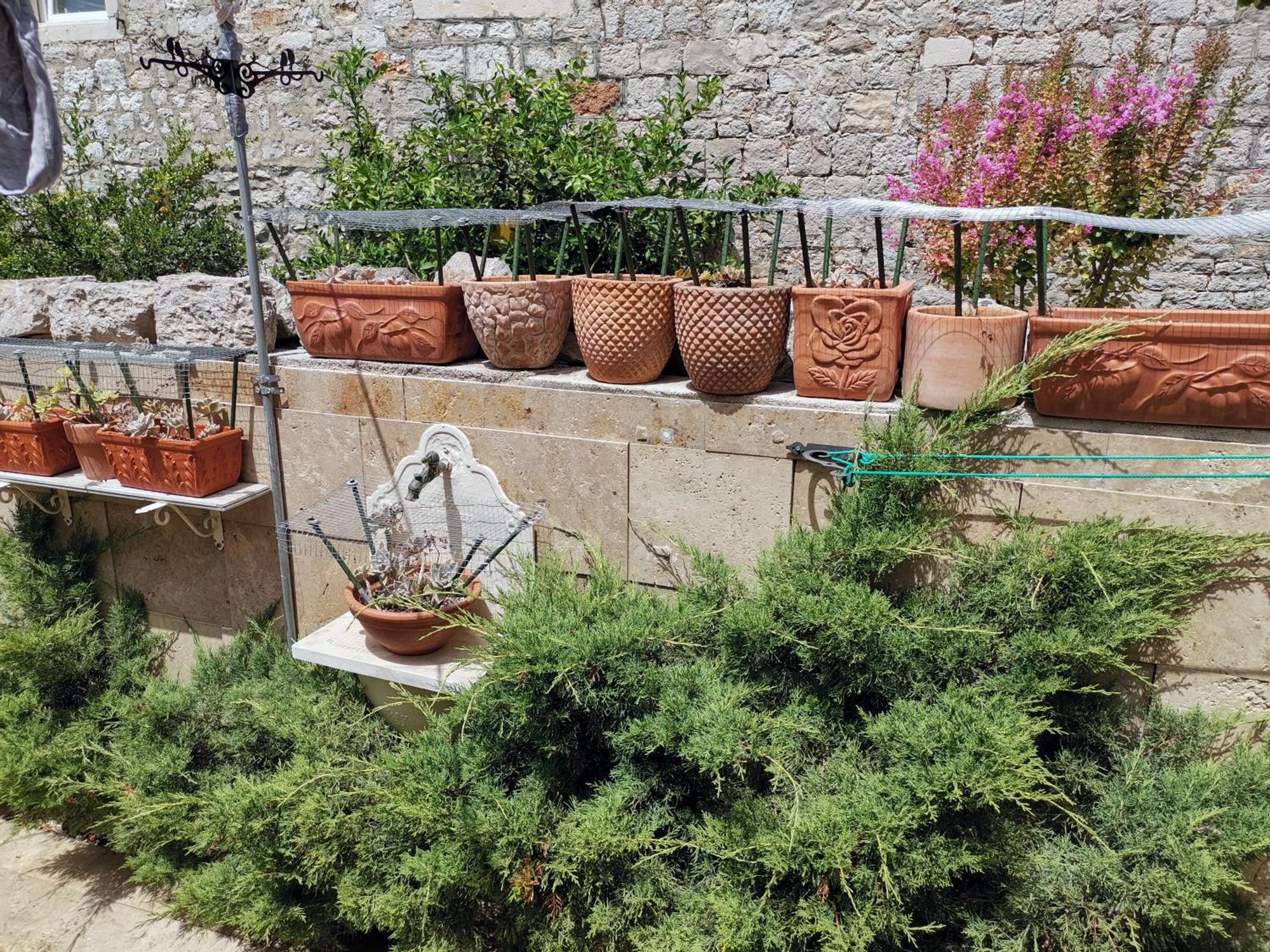 Apartment Alena With Terrace And Garden Center Jelsa Jelsa (Hvar) Exterior foto